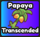 Papaya