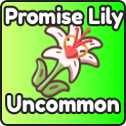 Promise Lily