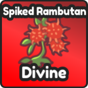 Spiked Rambutan