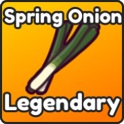 Spring Onion
