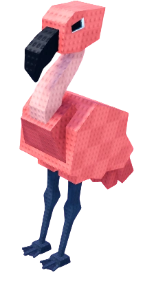 Flamingo