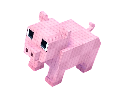 Pig