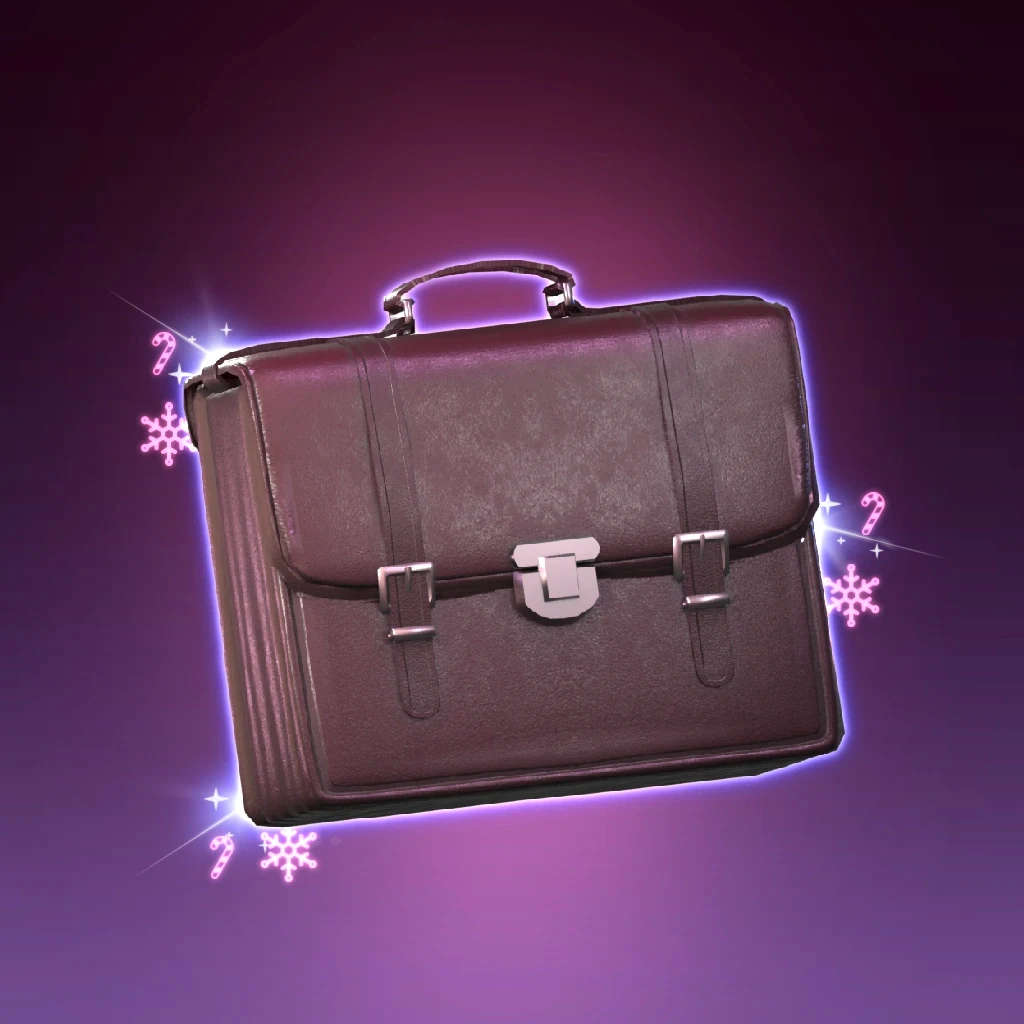 Business Bag