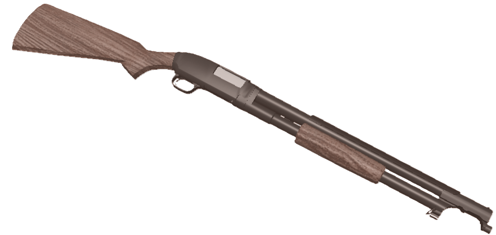 Shotgun