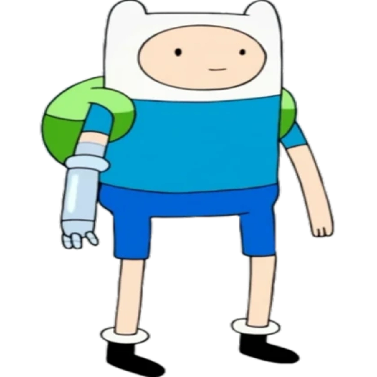 Finn the Human