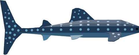 Whale SharkEvent