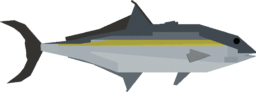Amberjack