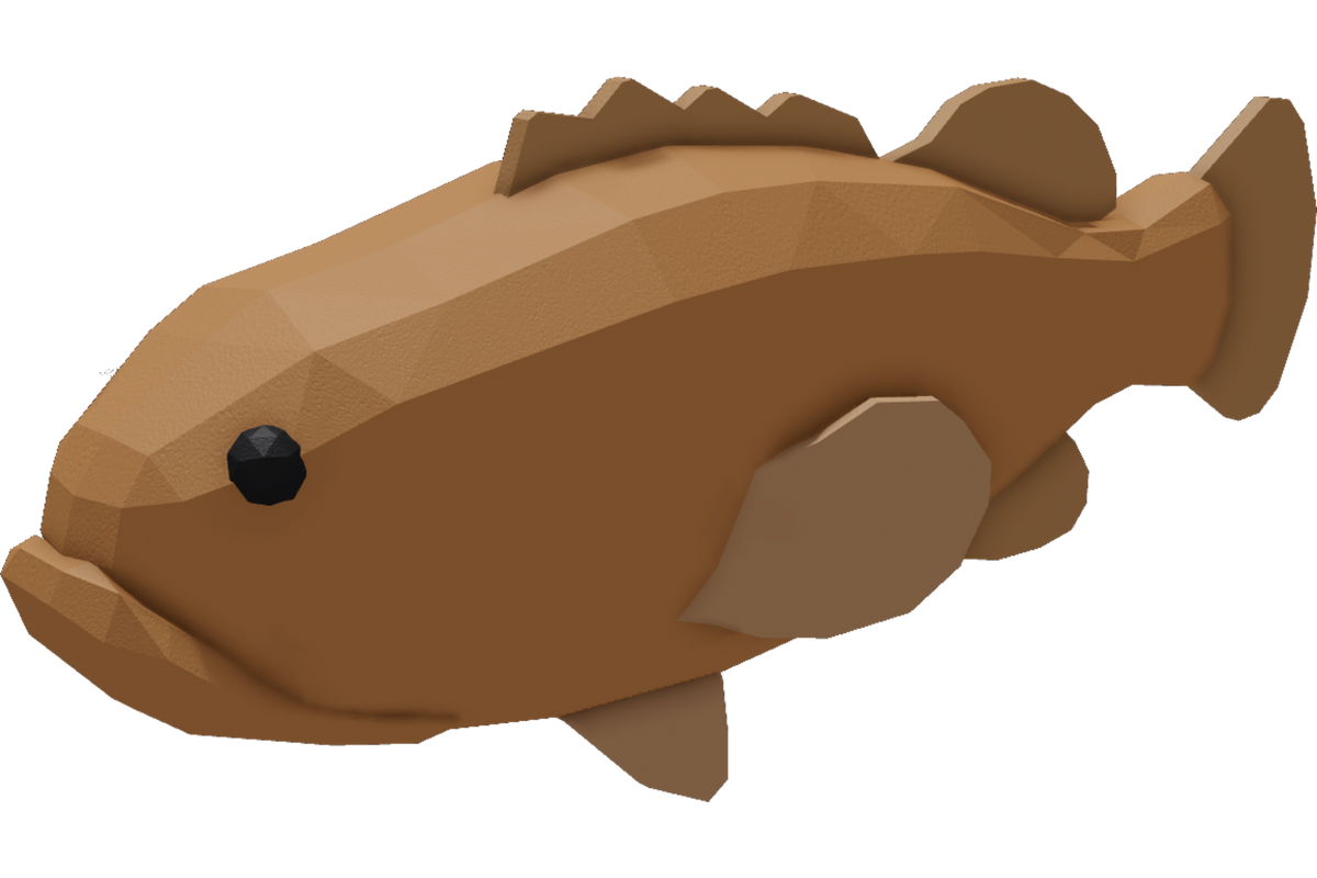 Atlantic Goliath Grouper