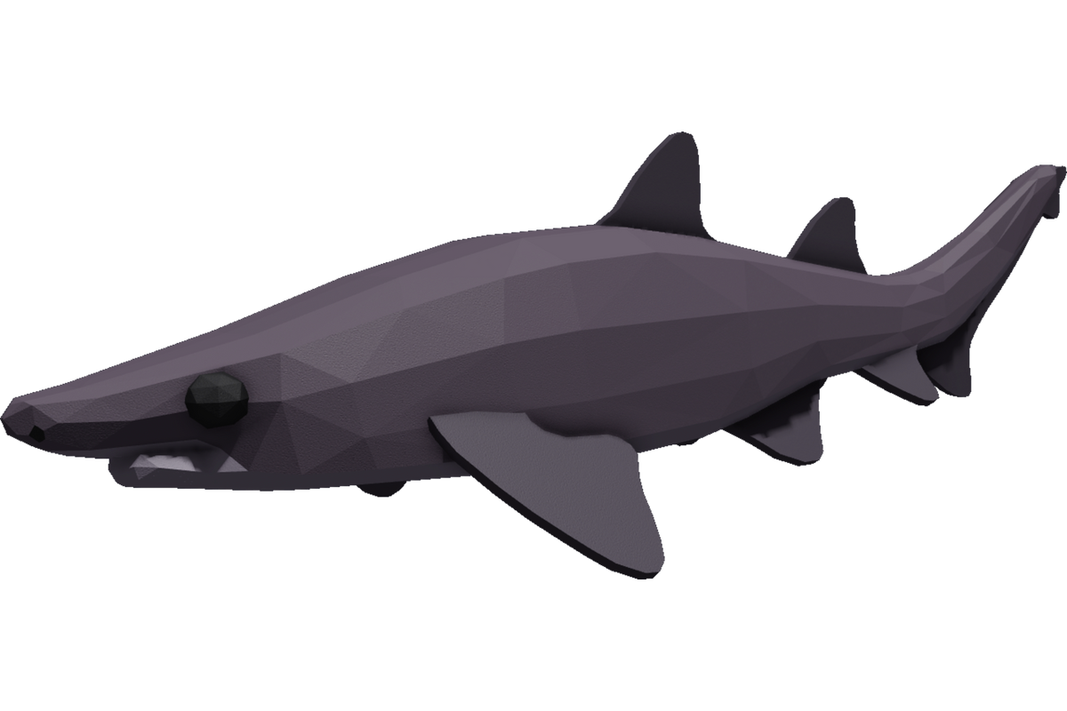 Bigeye Houndshark