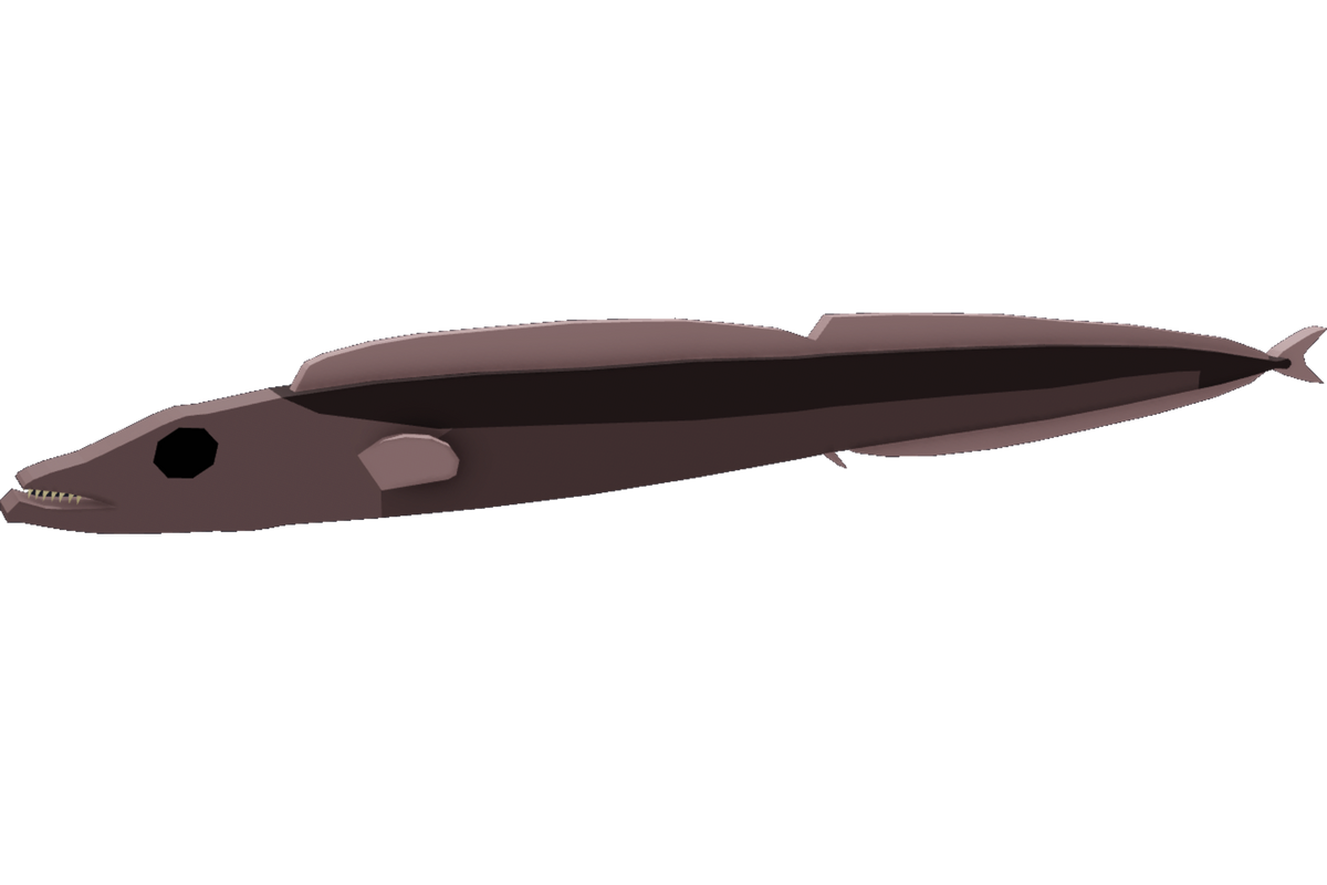 Black Scabbardfish