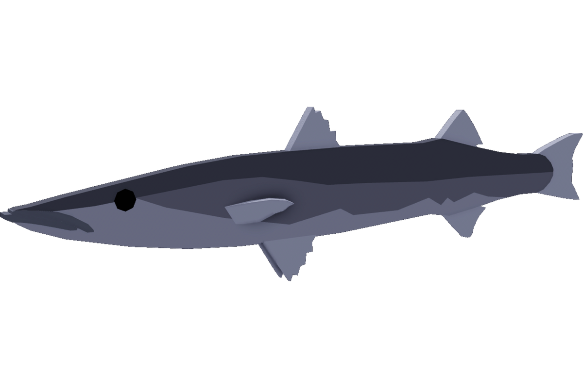 Blackfin Barracuda
