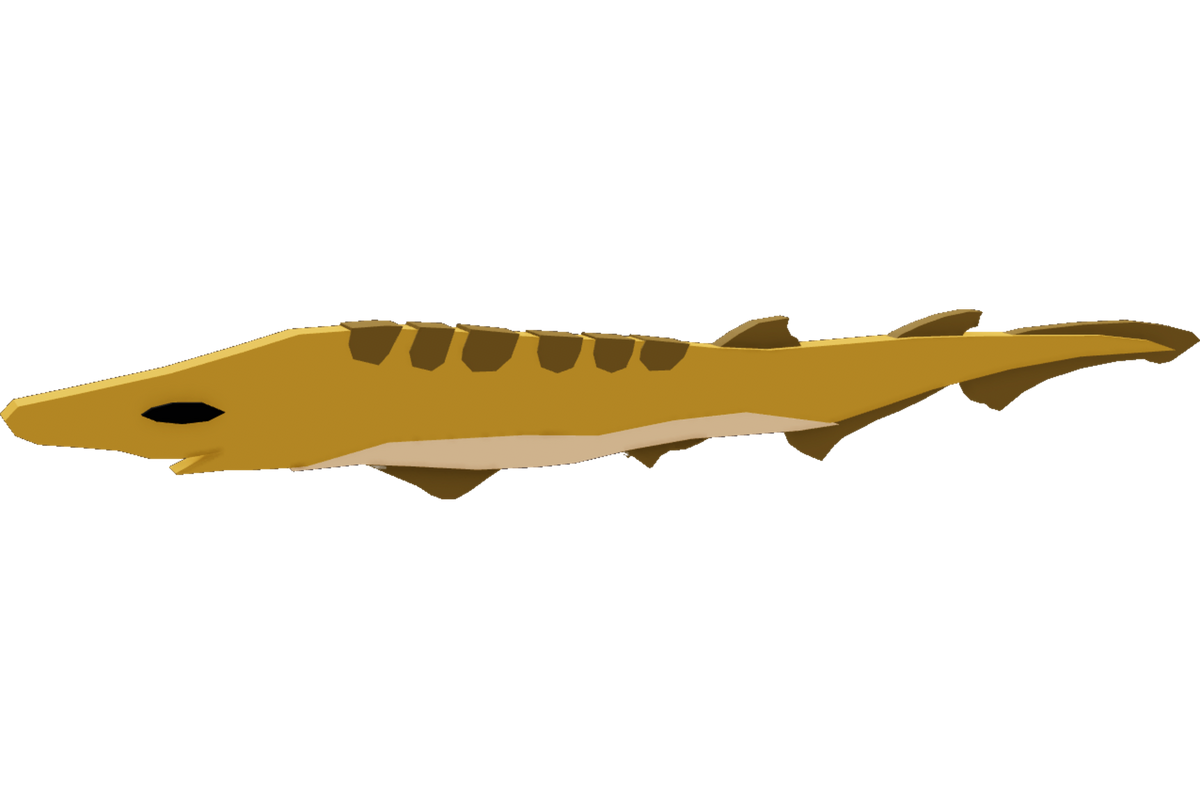Blackmouth Catshark