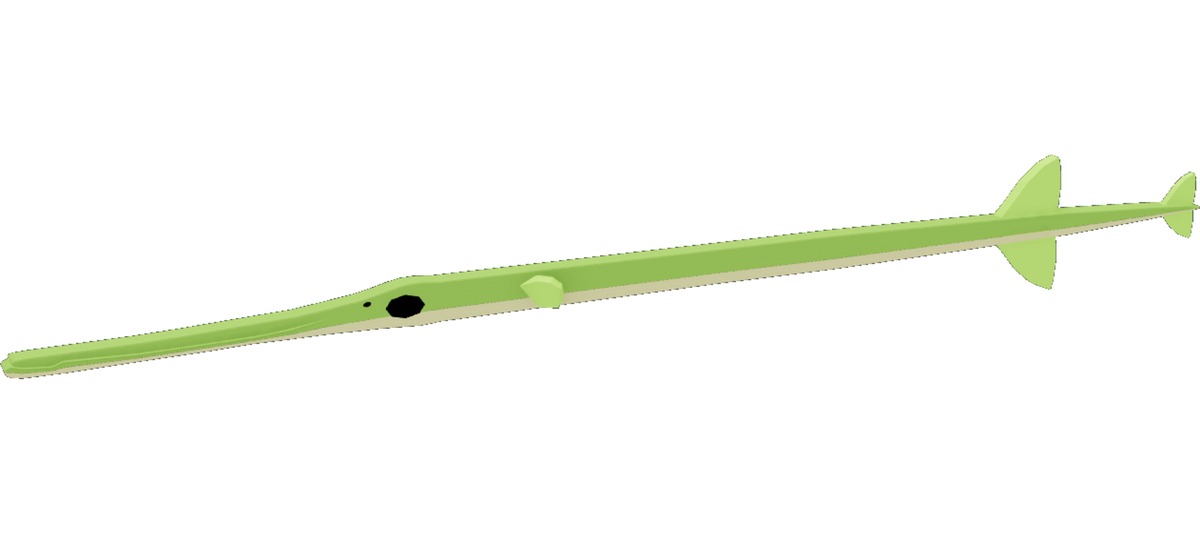 Cornetfish