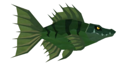 Crocokoi
