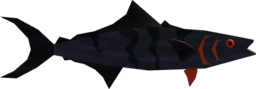 Drifting Gildfin