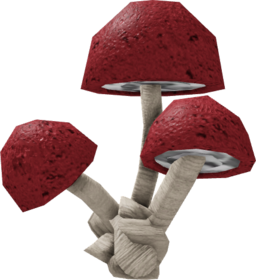 Fungal Cluster