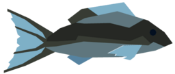 Gale Snapper