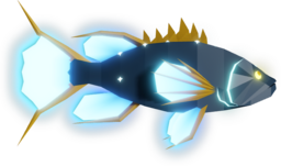 Gorgon Grouper