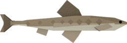 Gudgeon