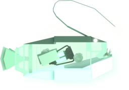 Lurkerfish