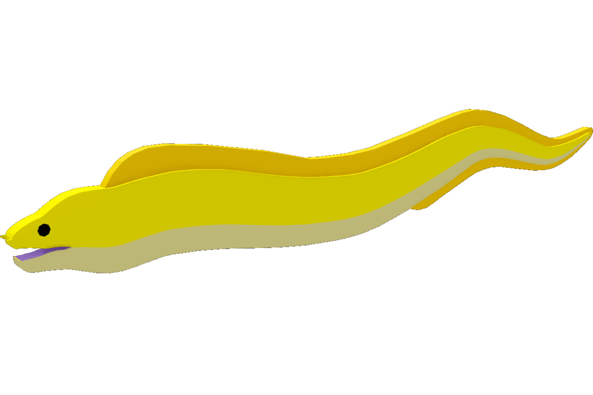 Moray Eel