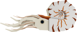 Nautilus