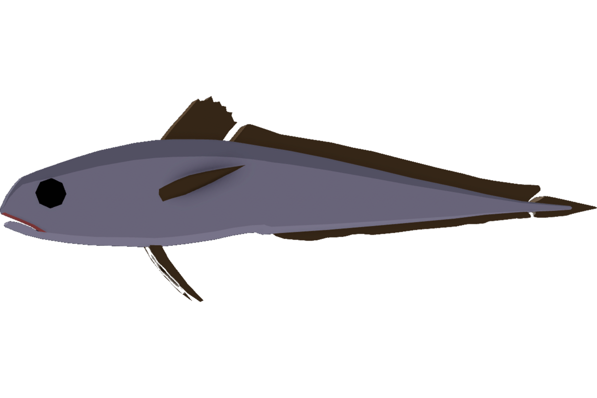 Pelagic Cod