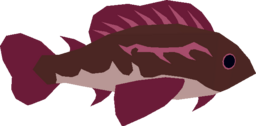 Reef Goby