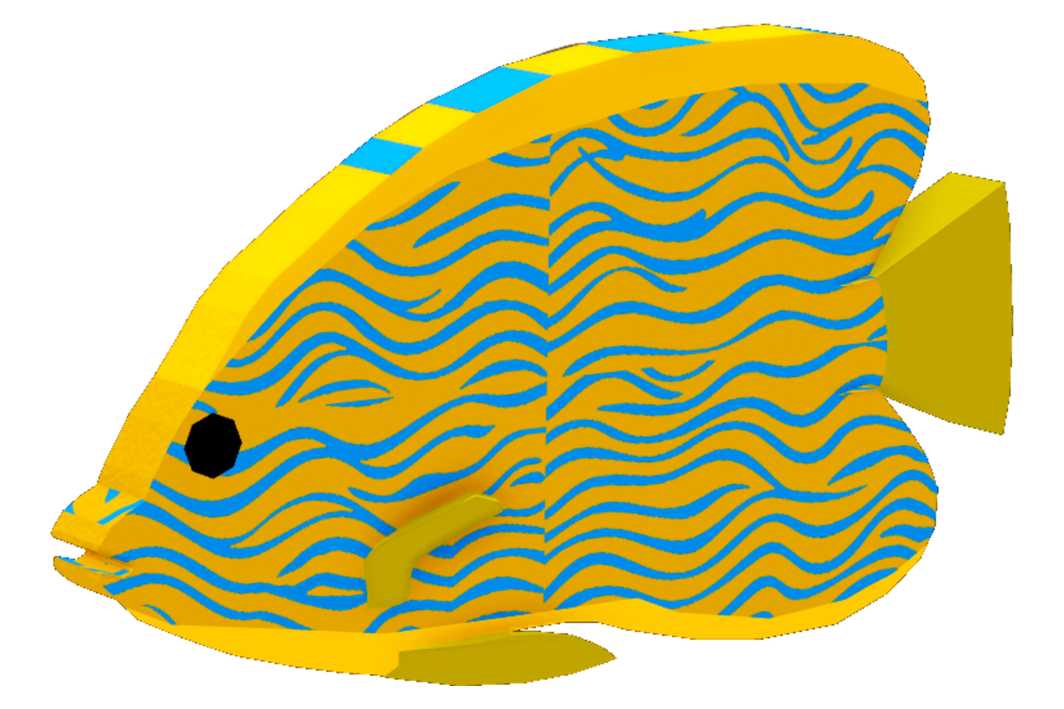 Regal Angelfish