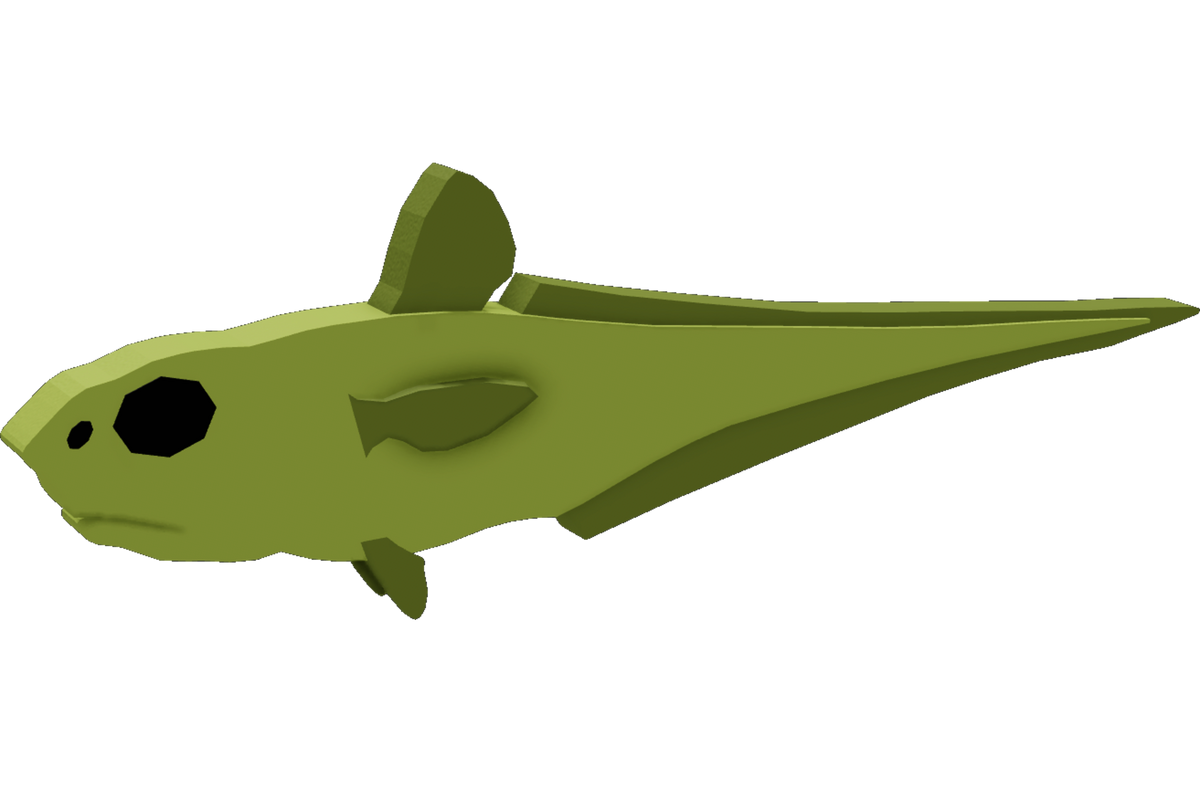 Roughhead Grenadier