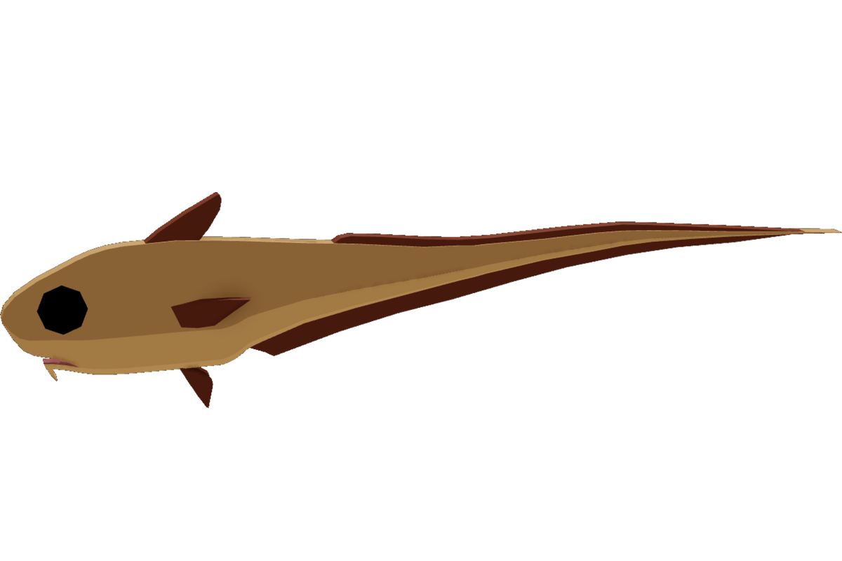 Roundnose Grenadier