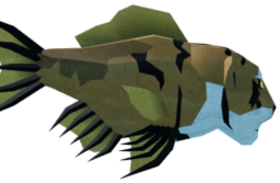Royal Tigerfish