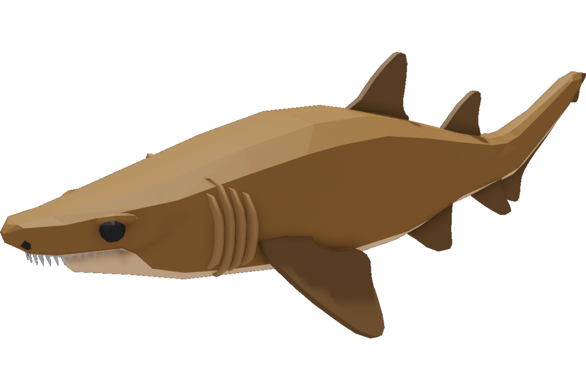 Sand Tiger Shark