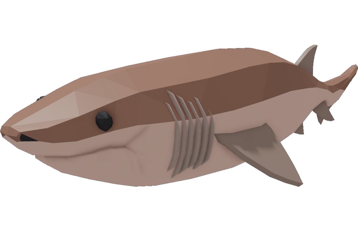 Sixgill Shark
