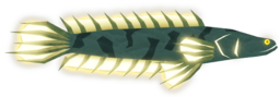 Snakehead