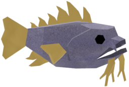 Splendid Toadfish