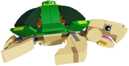 Stud Turtle