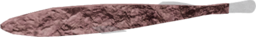 Typhleotris