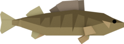 Walleye