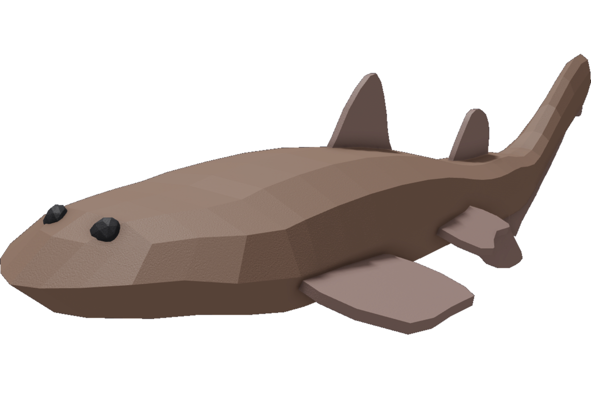 Wobbegong Shark
