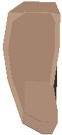 Oyster
