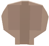 Scallop