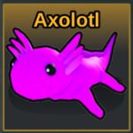 Axolotl