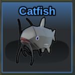 Catfish