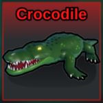 Crocodile