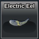 Electric Eel