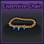 Expensive Chain