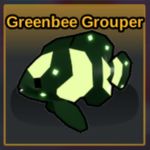 Greenbee Grouper