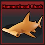 Hammerhead Shark