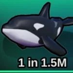 Orca